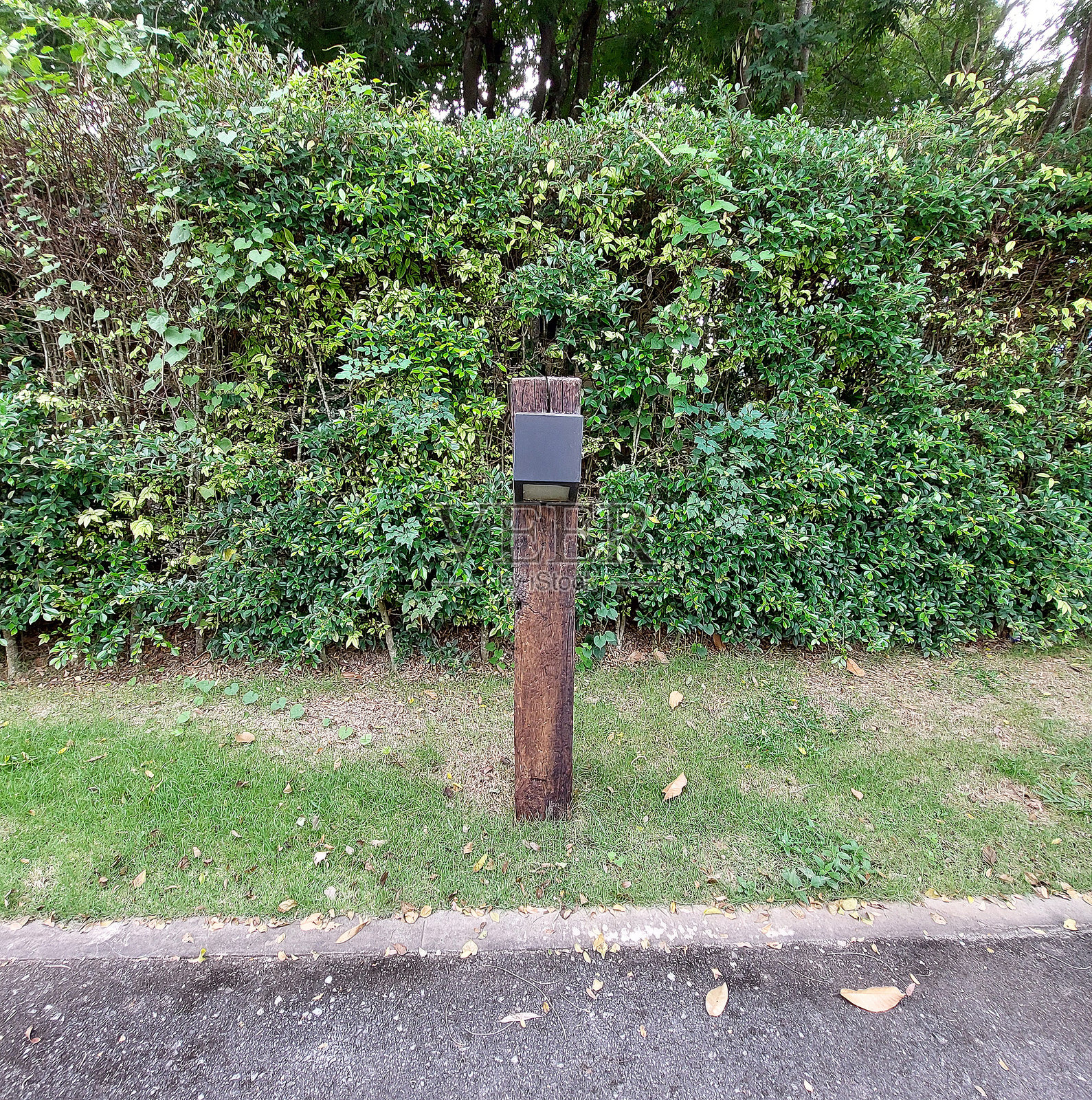 装饰通往房子的花园艺术小径照片摄影图片