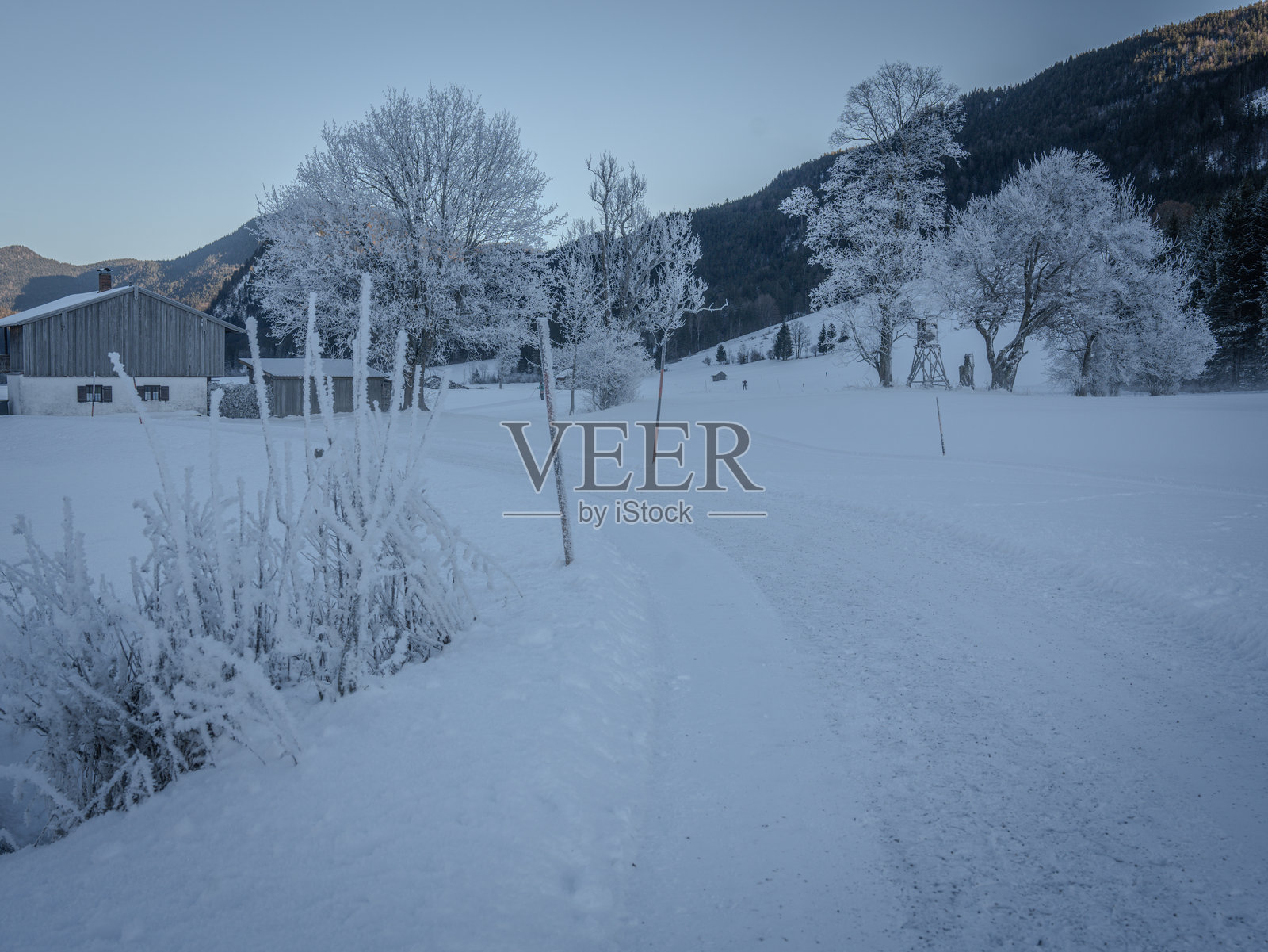 德国巴伐利亚的宁静冬晨。霜冻覆盖的树木与雪白的山景,背景是山脉。德国巴伐利亚,雅亨瑙照片摄影图片