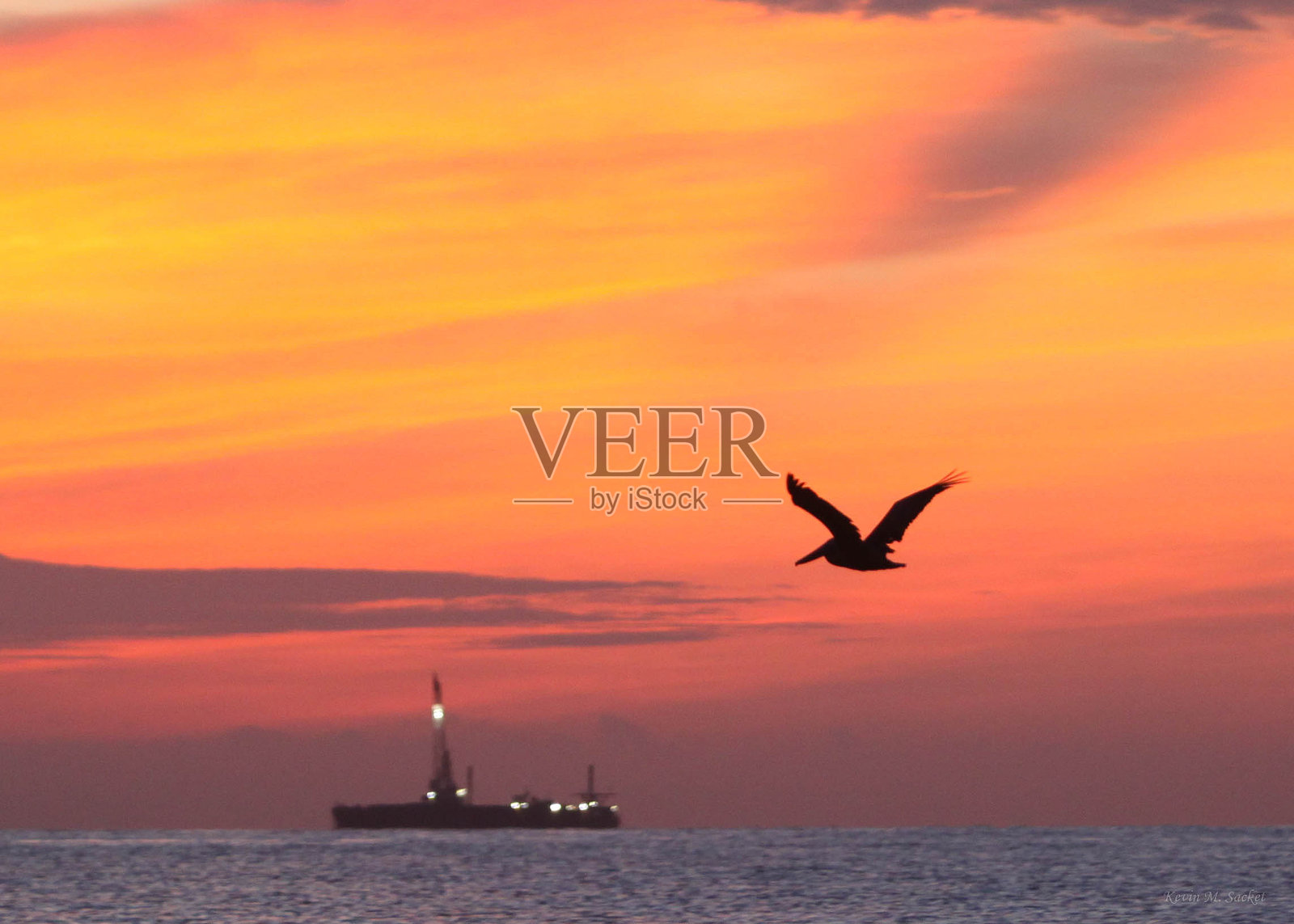 五彩斑斓的日出中的鹈鹕照片摄影图片