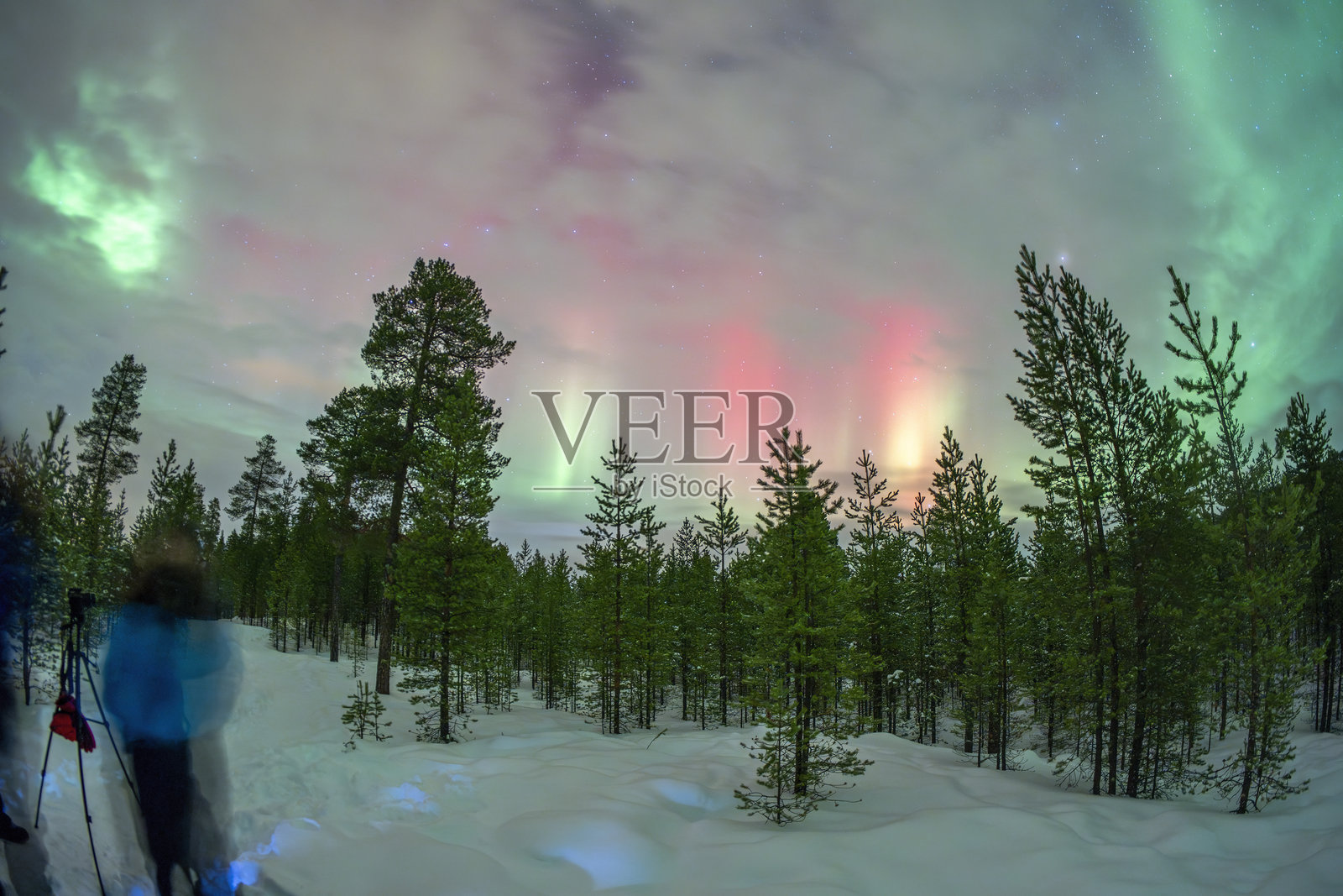 拉普兰伊纳里内利湖森林中的北极光照片摄影图片