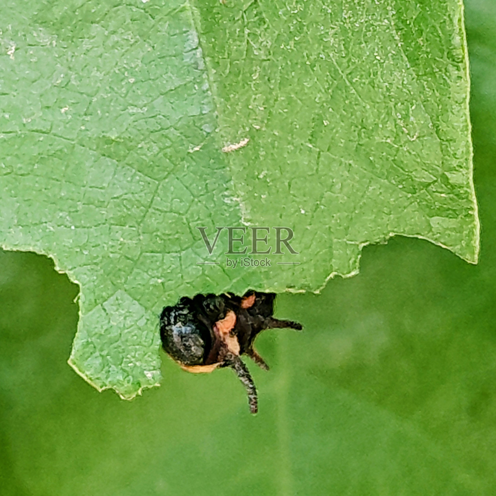 午餐时间照片摄影图片