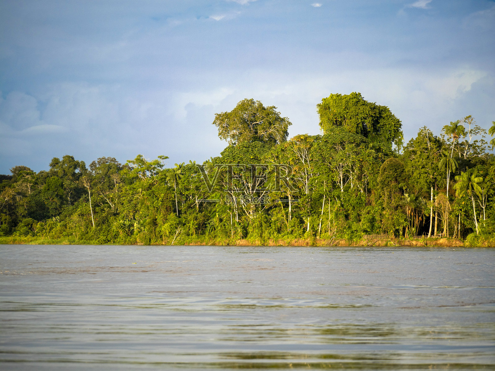亚马逊河的雨林风景。照片摄影图片