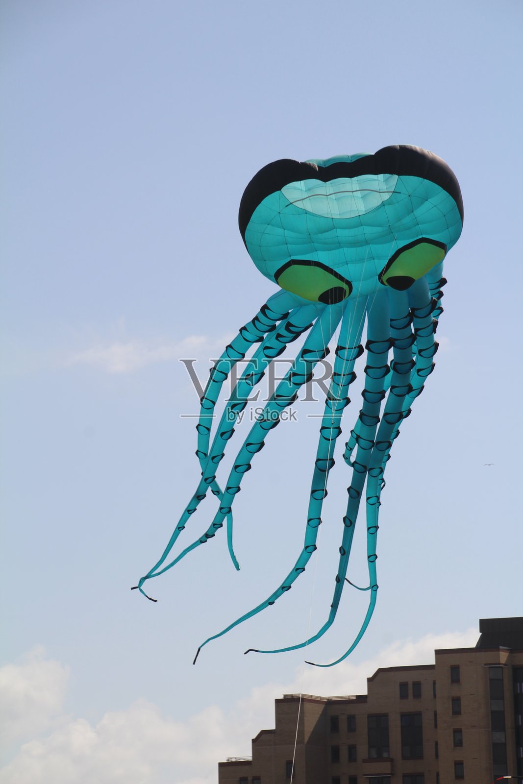 南海岸风筝节照片摄影图片