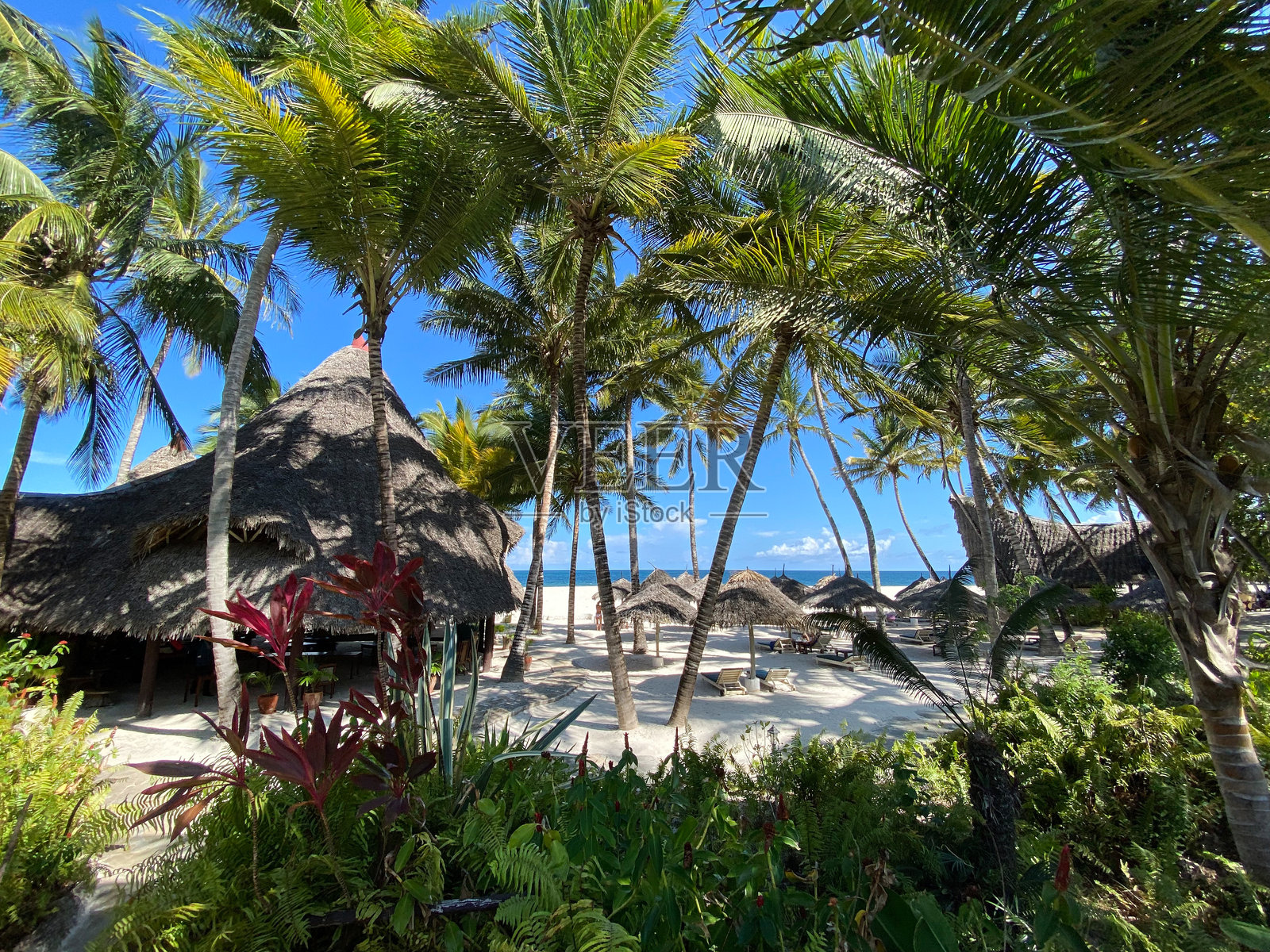 海滩照片摄影图片