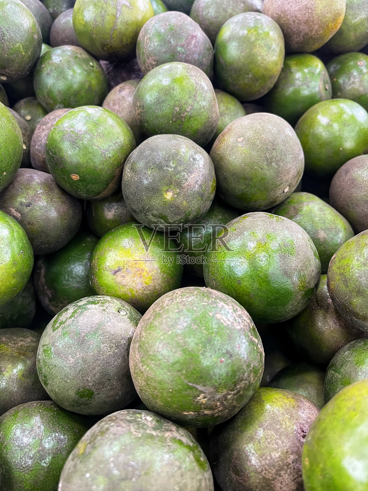 超市里出售新鲜橙子照片摄影图片