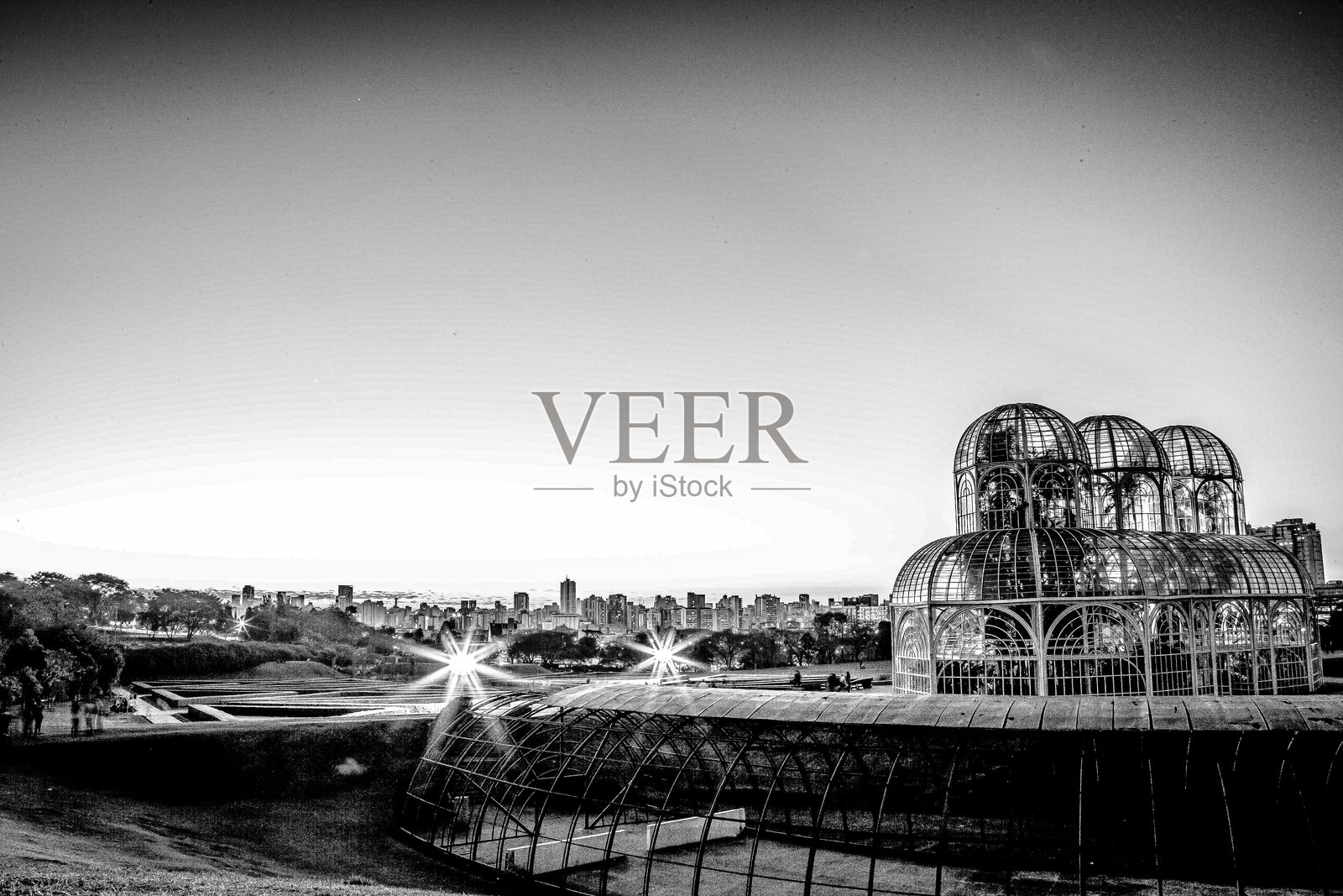 库里提巴植物园照片摄影图片