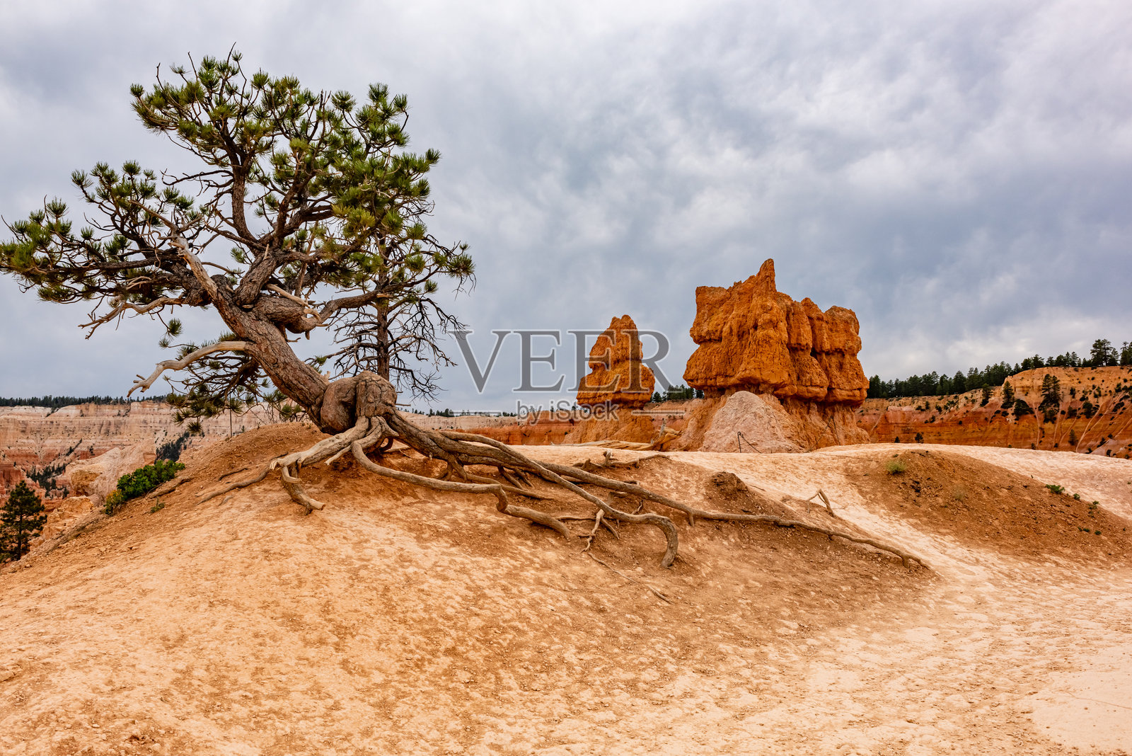 布莱斯峡谷国家公园,犹他州,美国照片摄影图片