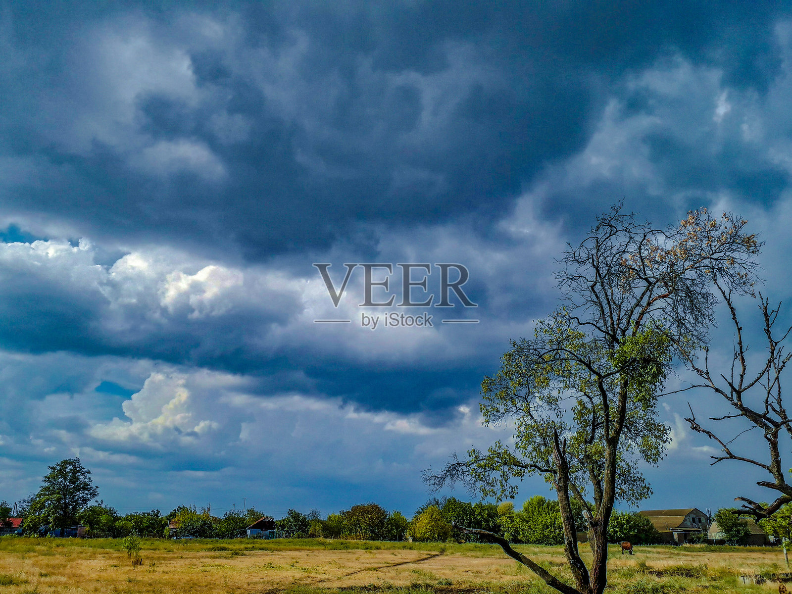 风景照片摄影图片