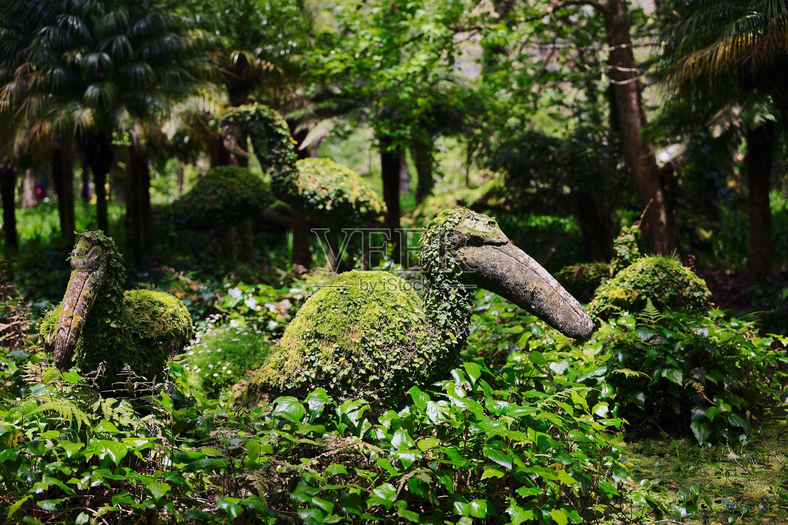 郁郁葱葱的花园中的修剪鸟类雕塑。照片摄影图片