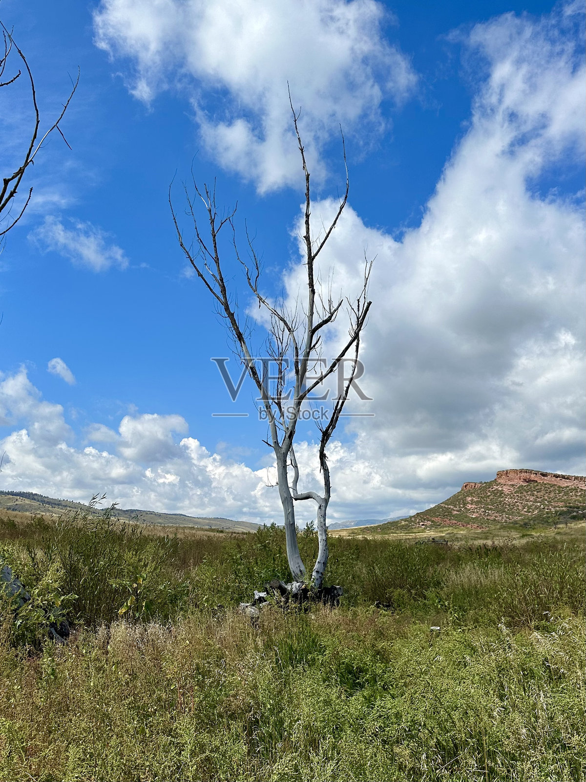 波猫岭自然区照片摄影图片