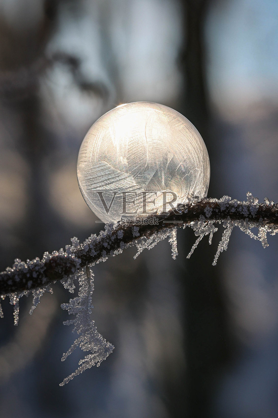 冰冻的肥皂泡照片摄影图片