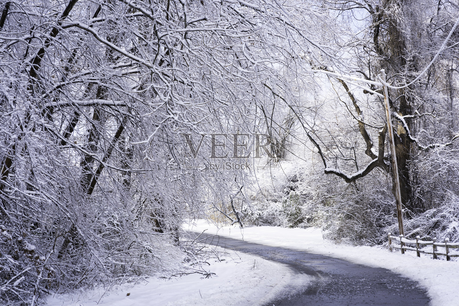 蜿蜒的乡村道路穿过冰冻的树木照片摄影图片