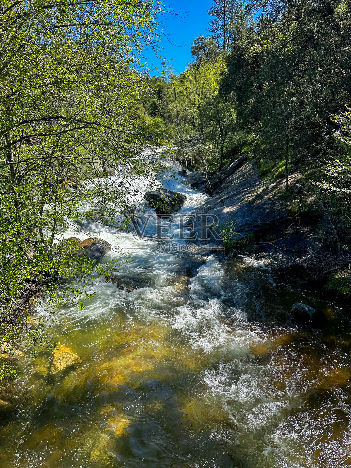 森林中山上的瀑布流淌而下照片摄影图片