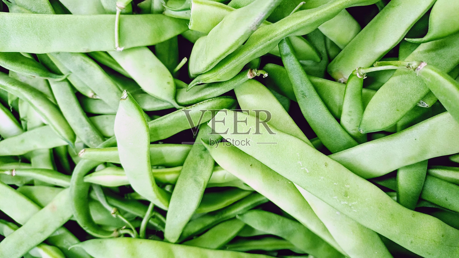 绿豆。农贸市场里的绿豆照片摄影图片