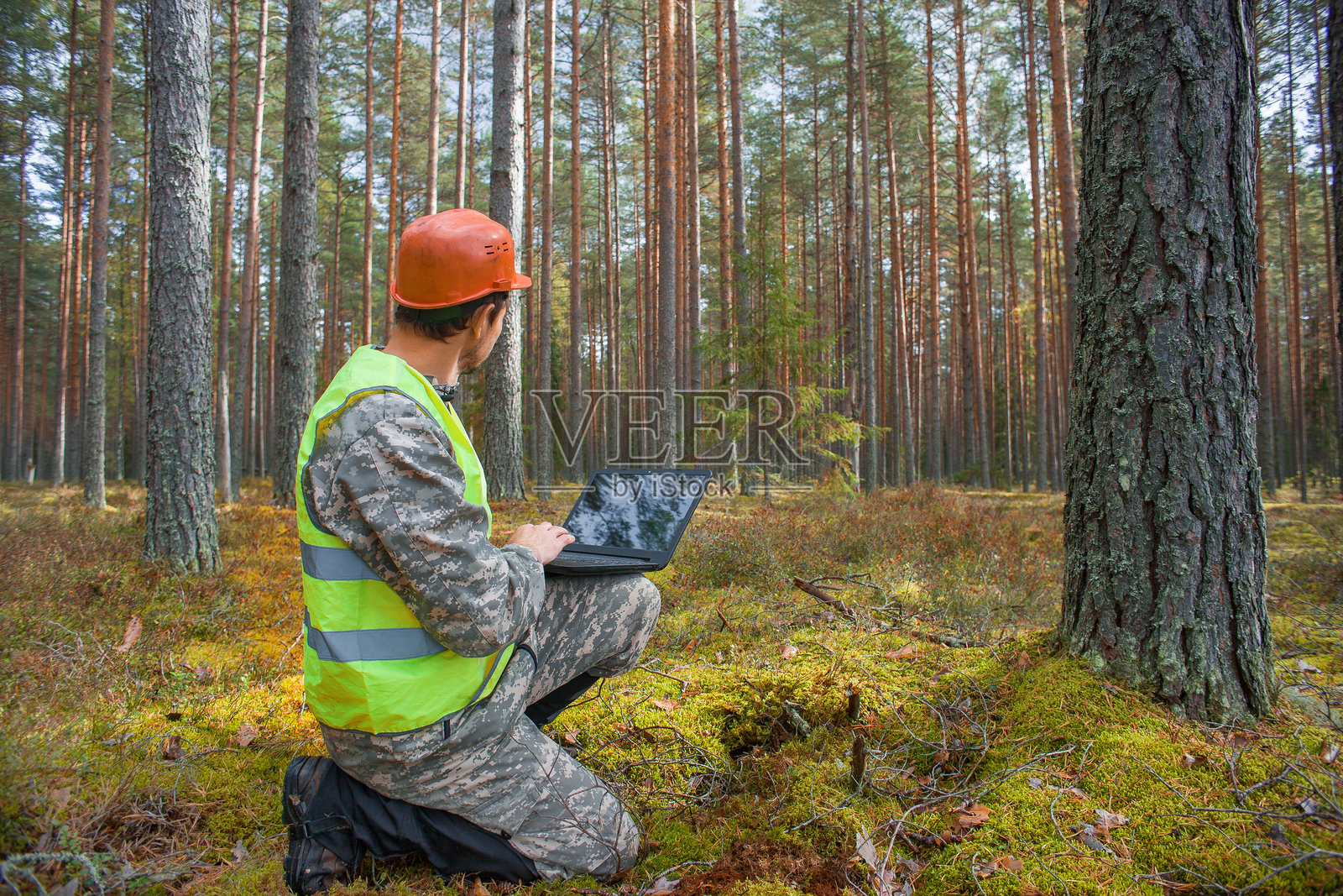 森林工程师,生态学家照片摄影图片