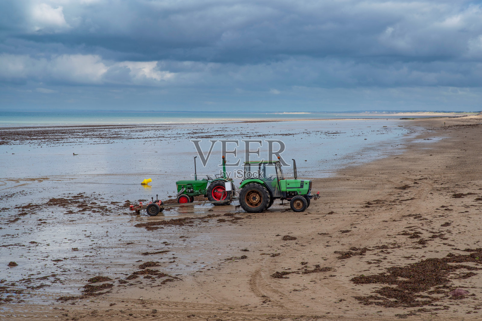 海滩上的牡蛎拖拉机照片摄影图片