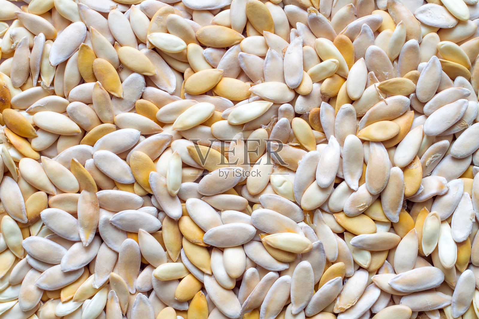 大量的 melon seeds 特写。照片摄影图片