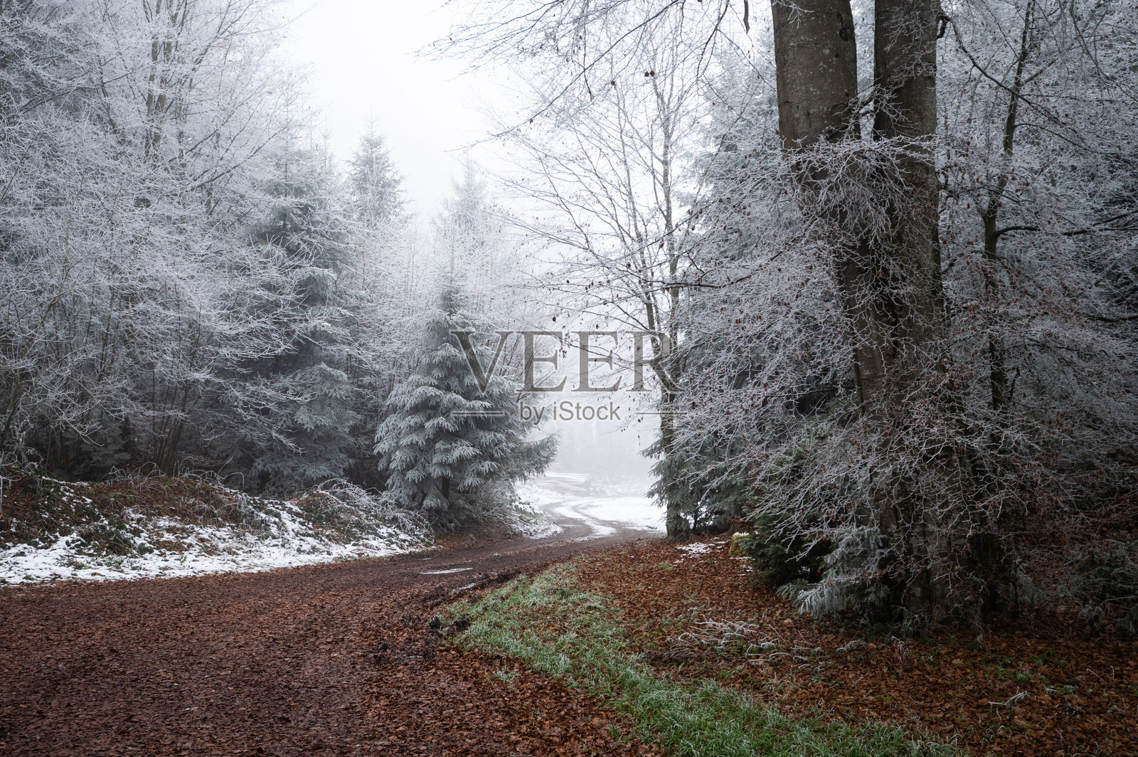 德国森林雾中的风景冬季道路照片摄影图片