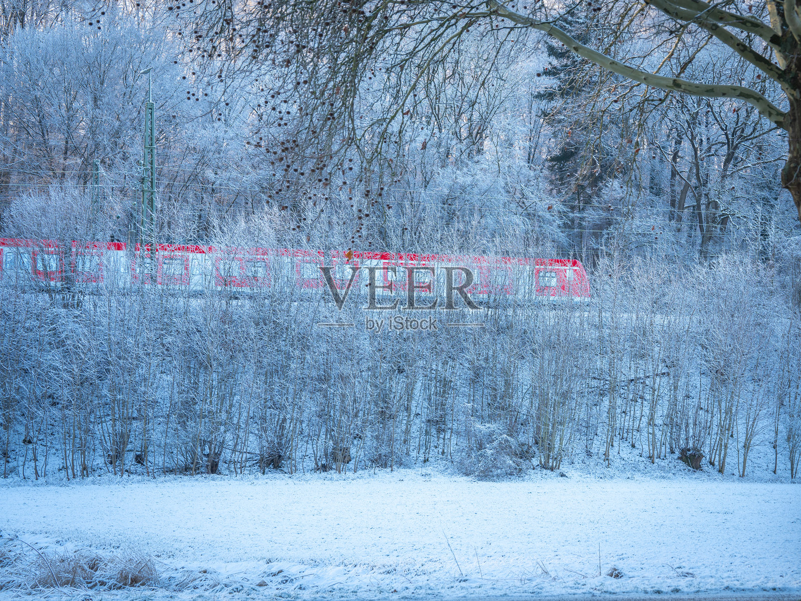 明亮的红色区域快铁穿过德国巴伐利亚的雪覆盖冬季森林景观照片摄影图片