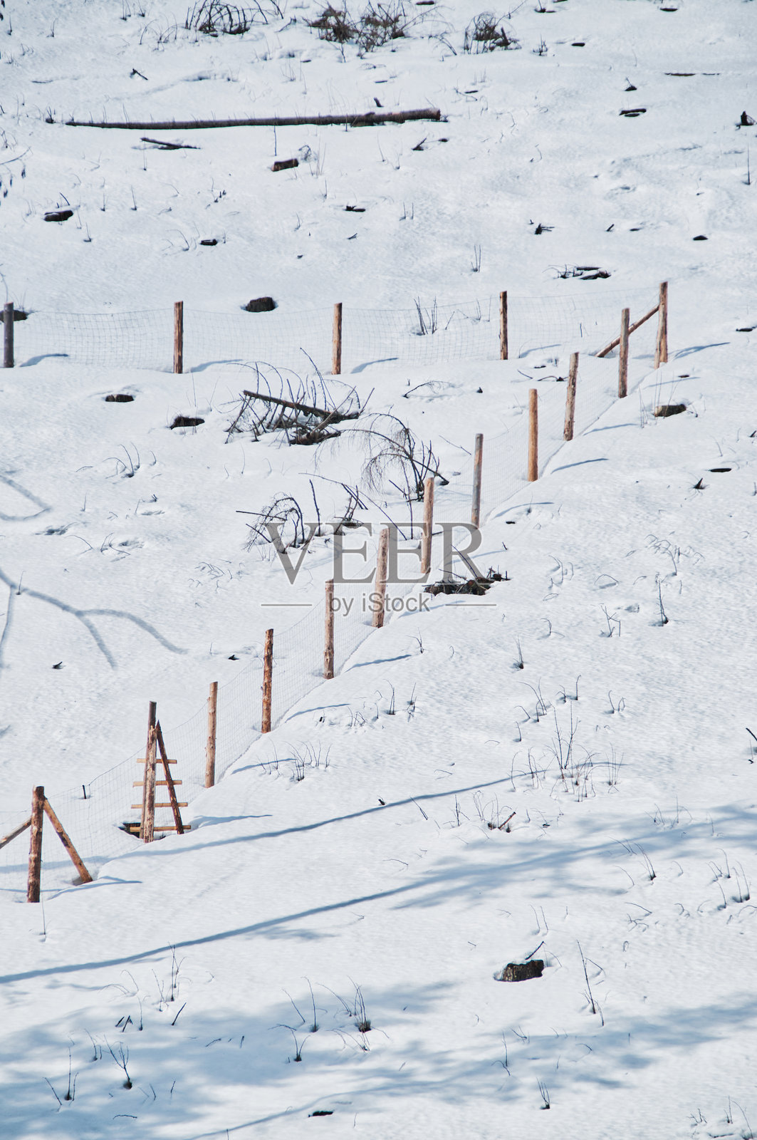 雪山中的木栅栏照片摄影图片
