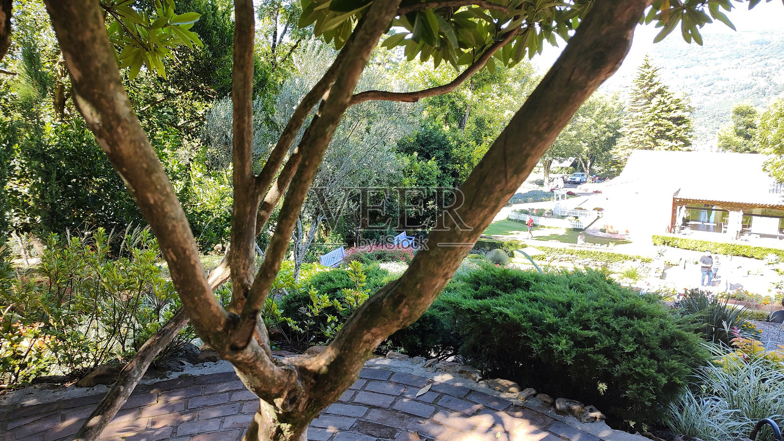 宁静照片摄影图片