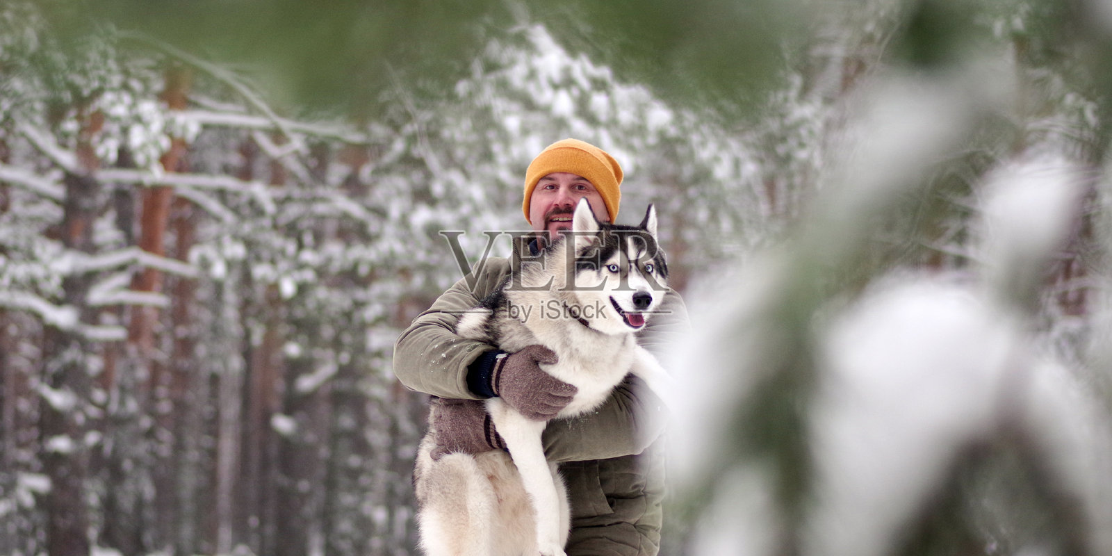男人在雪白的冬季森林中抱着哈士奇犬照片摄影图片