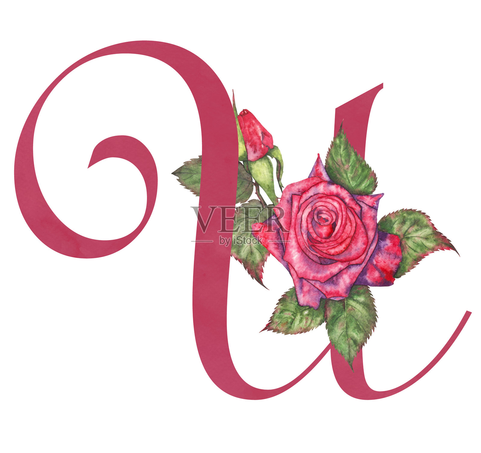 水彩红玫瑰装饰的字母U图形插画图片素材
