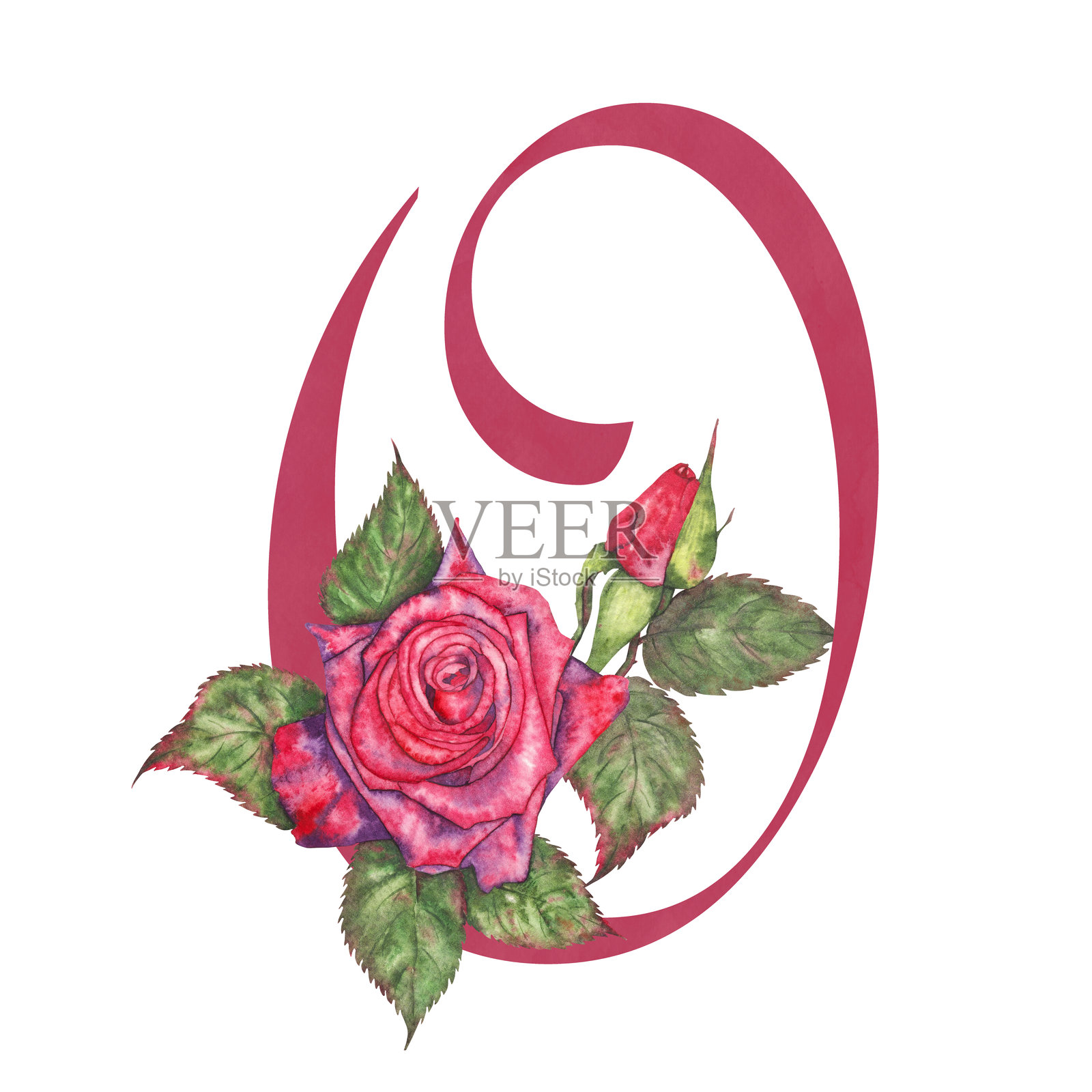 水彩红玫瑰装饰的字母O图形。插画图片素材