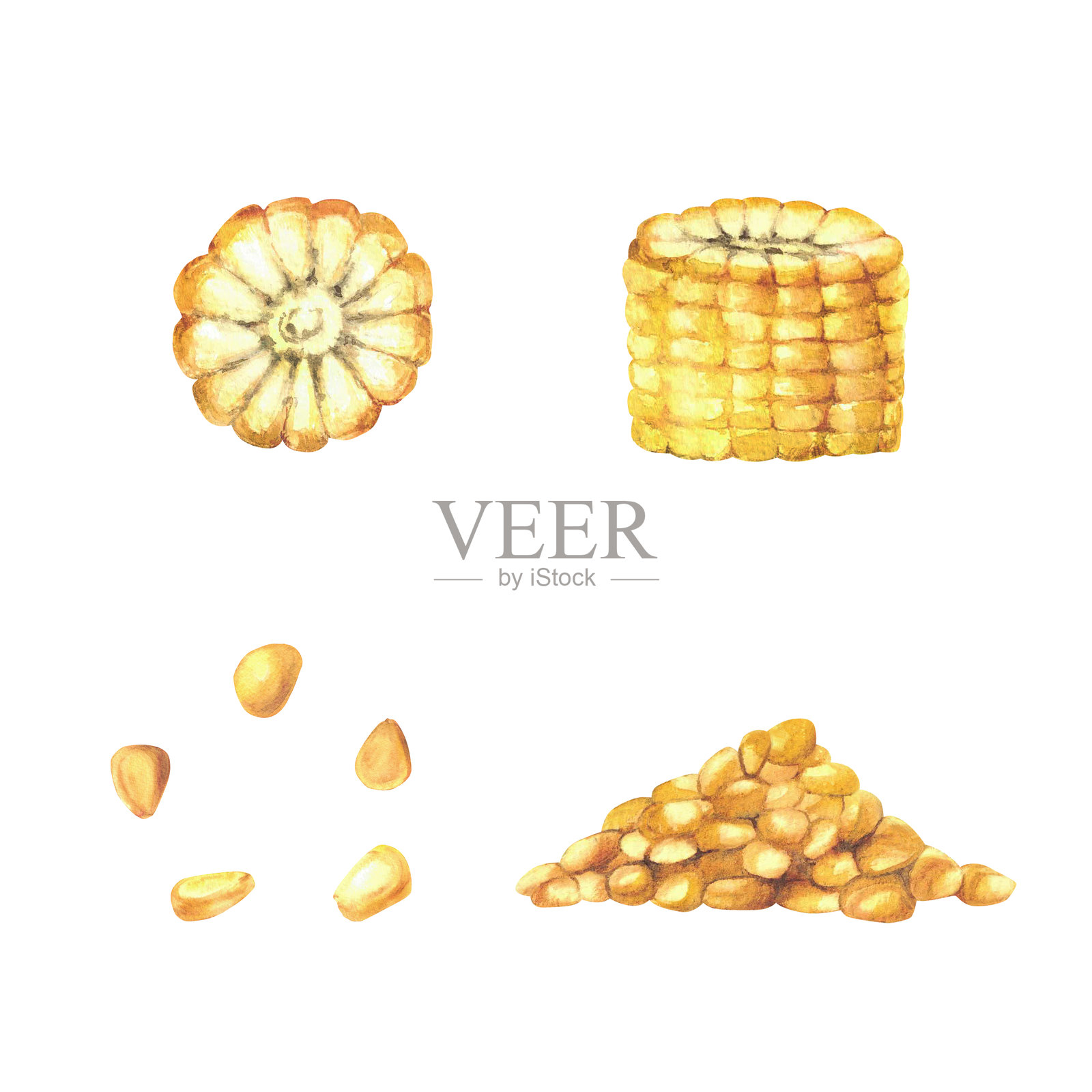 玉米组合。黄色的玉米粒、切好的玉米棒和一堆黄色的玉米。水彩食品插图插画图片素材