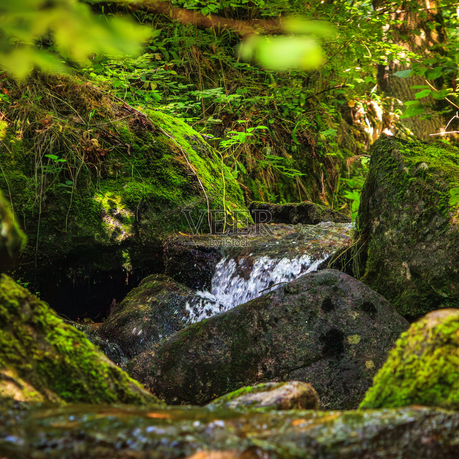法国比利牛斯山脉夏季的小河照片摄影图片