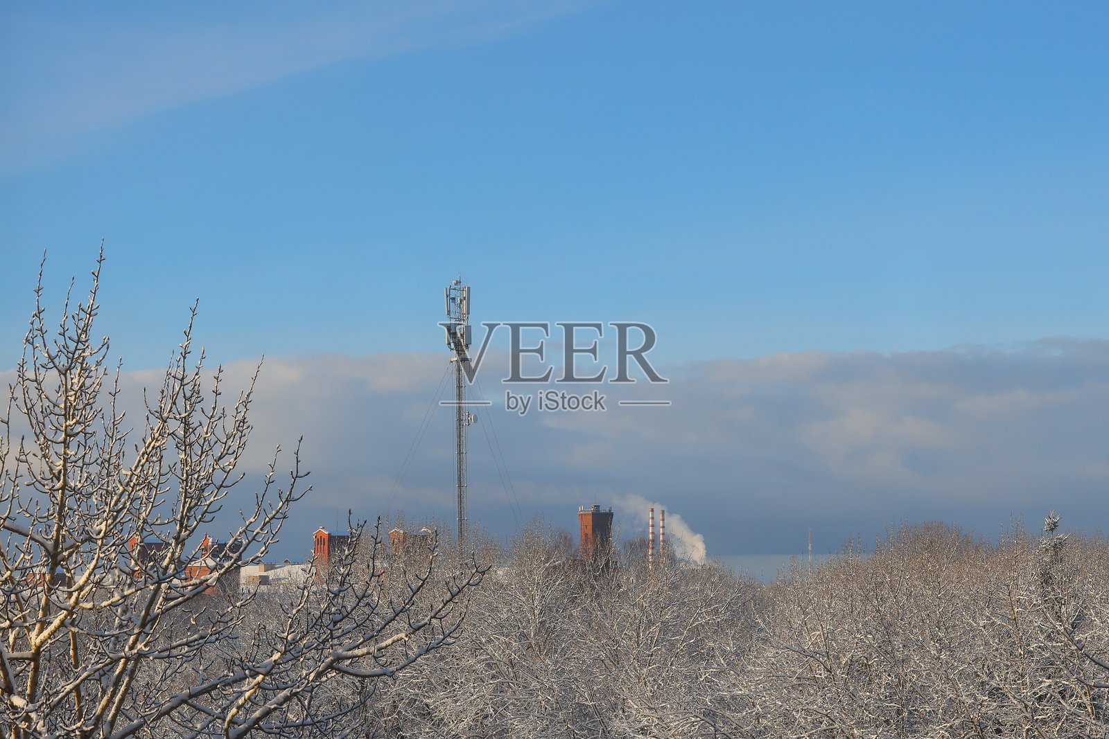 美丽的冬季风景,展示了一座被雪覆盖的树木环绕的通信塔。照片摄影图片