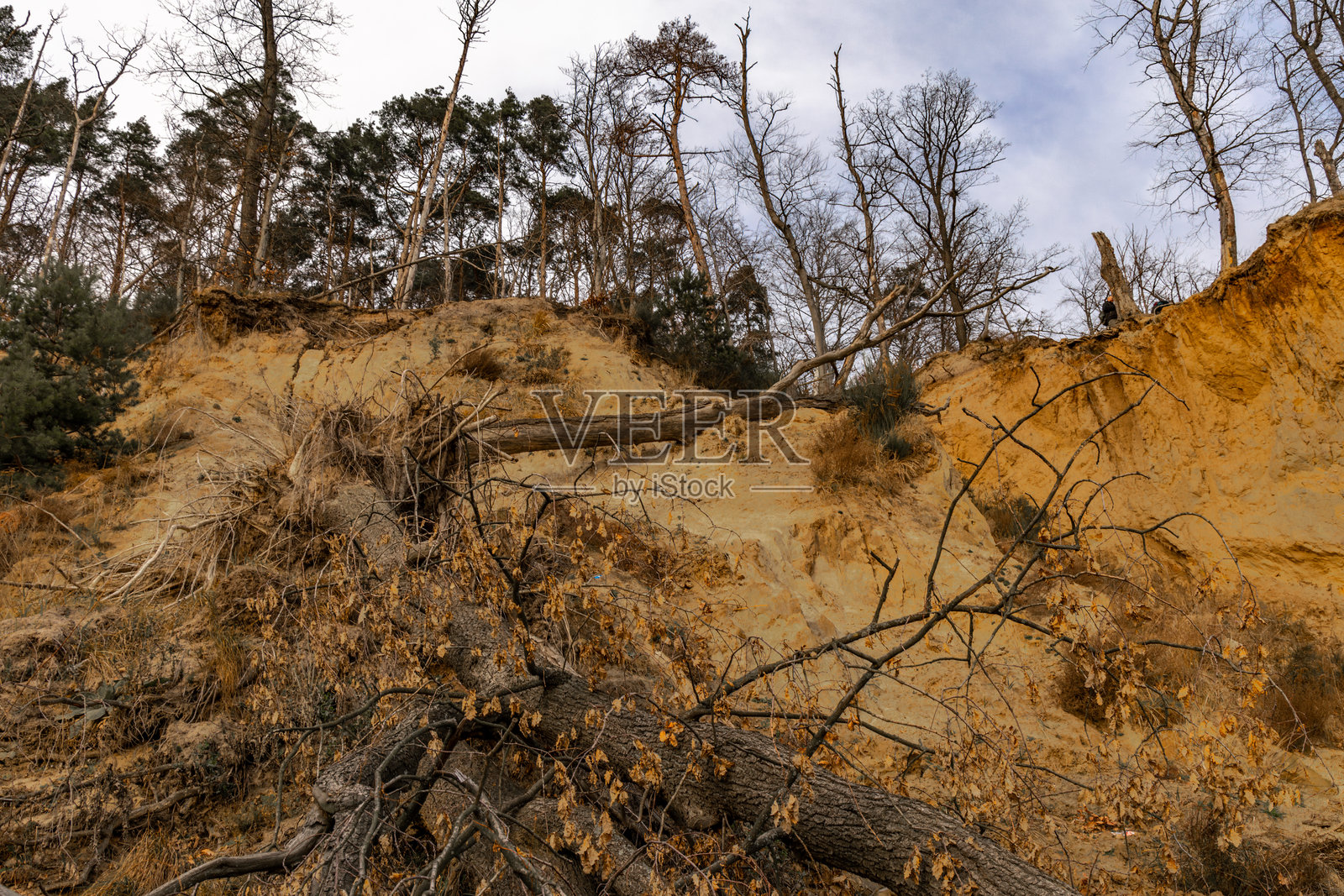 奥尔洛沃悬崖的沙丘观景点,位于格丁尼亚附近的旅游景点照片摄影图片