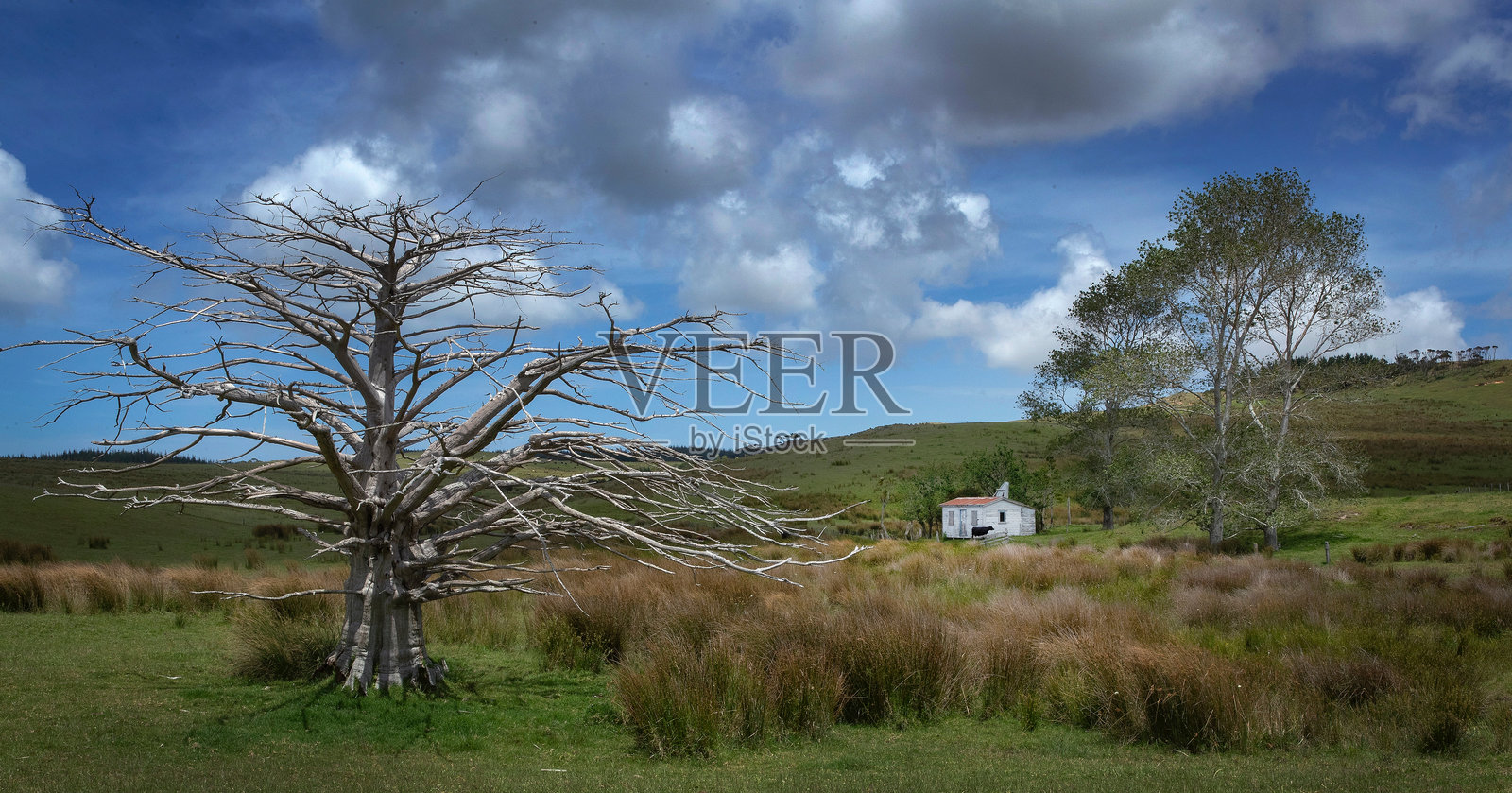 草原上的小屋照片摄影图片