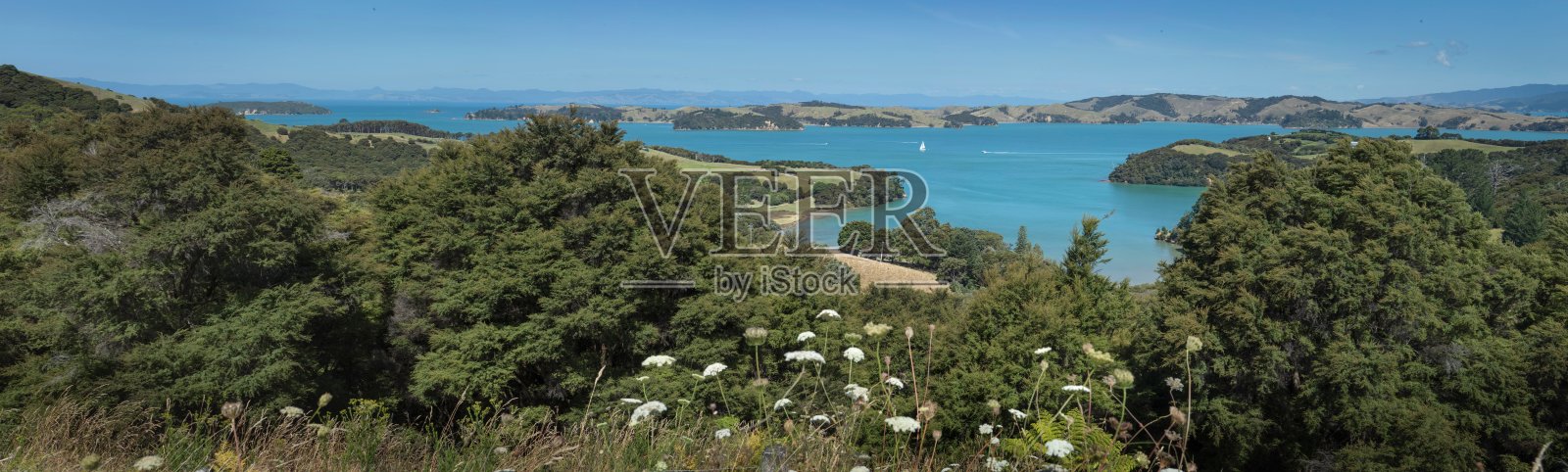 奥克兰霍拉基湾全景照片摄影图片