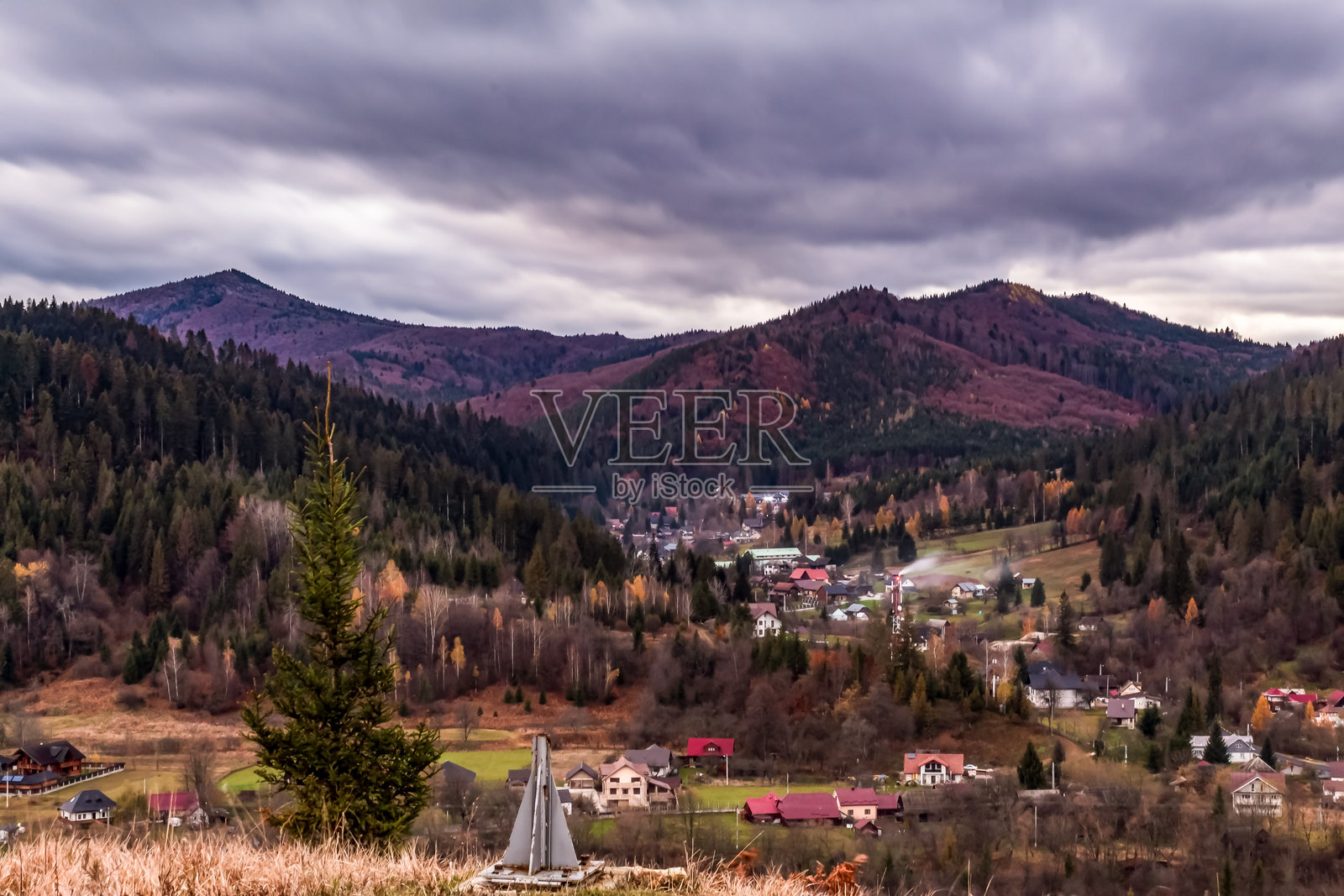 风景 - 森林 - 欧洲,罗马尼亚,苏恰瓦地区照片摄影图片