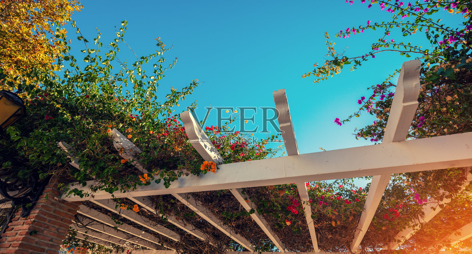 阳光明媚的日子里,装饰着花卉的木质露台和木质屋顶。横幅。照片摄影图片