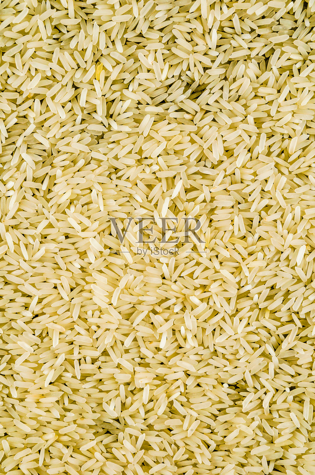 地毯上的米粒特写照片摄影图片