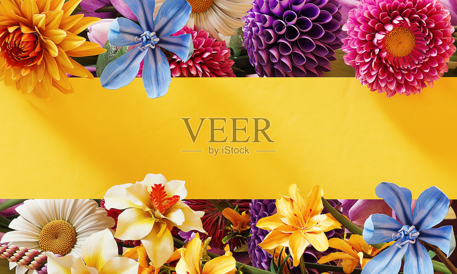 美丽多彩的春季花卉,带有黄色空白区域。春季概念背景。春季横幅设计。照片摄影图片