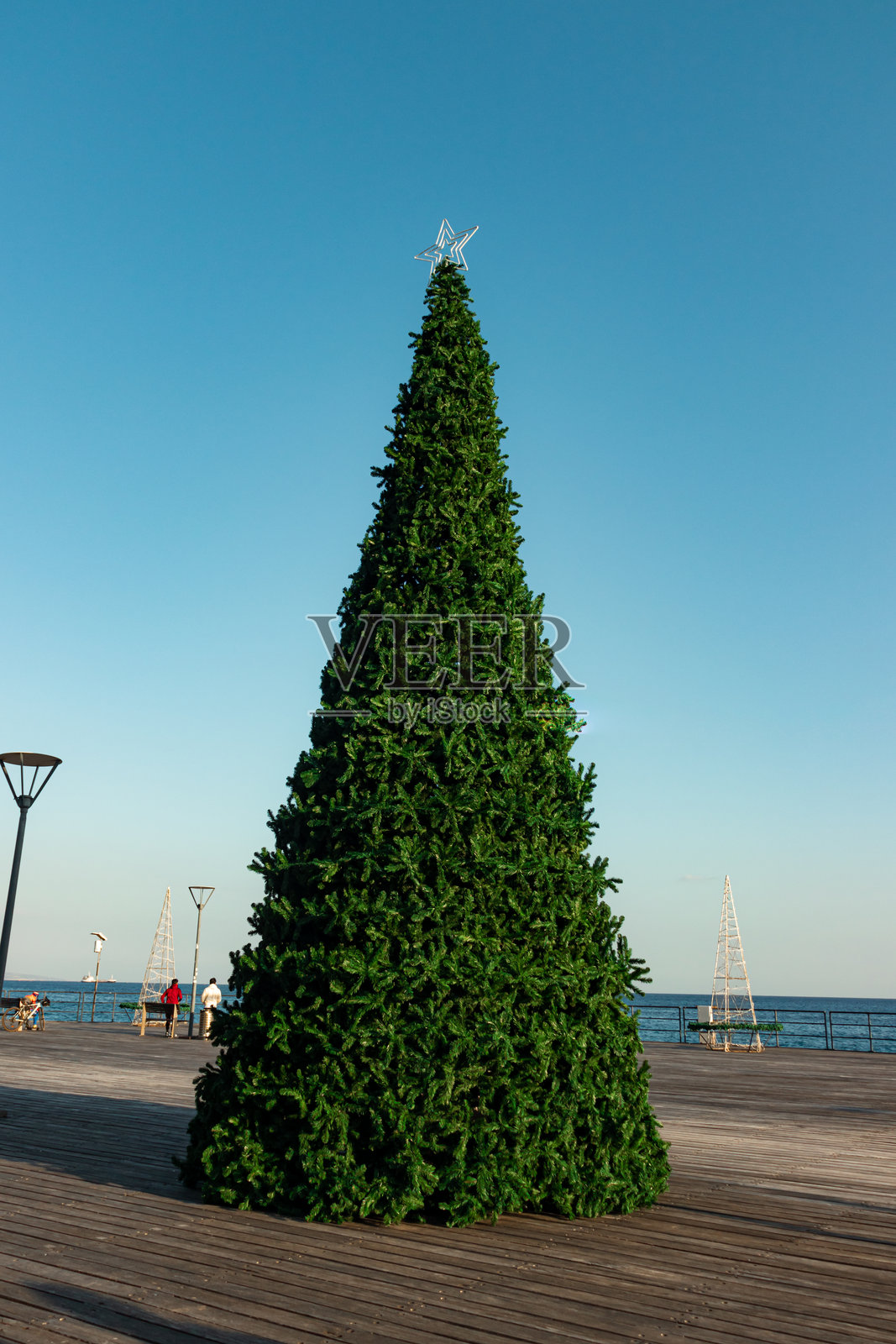 利马索尔码头的大型圣诞树照片摄影图片