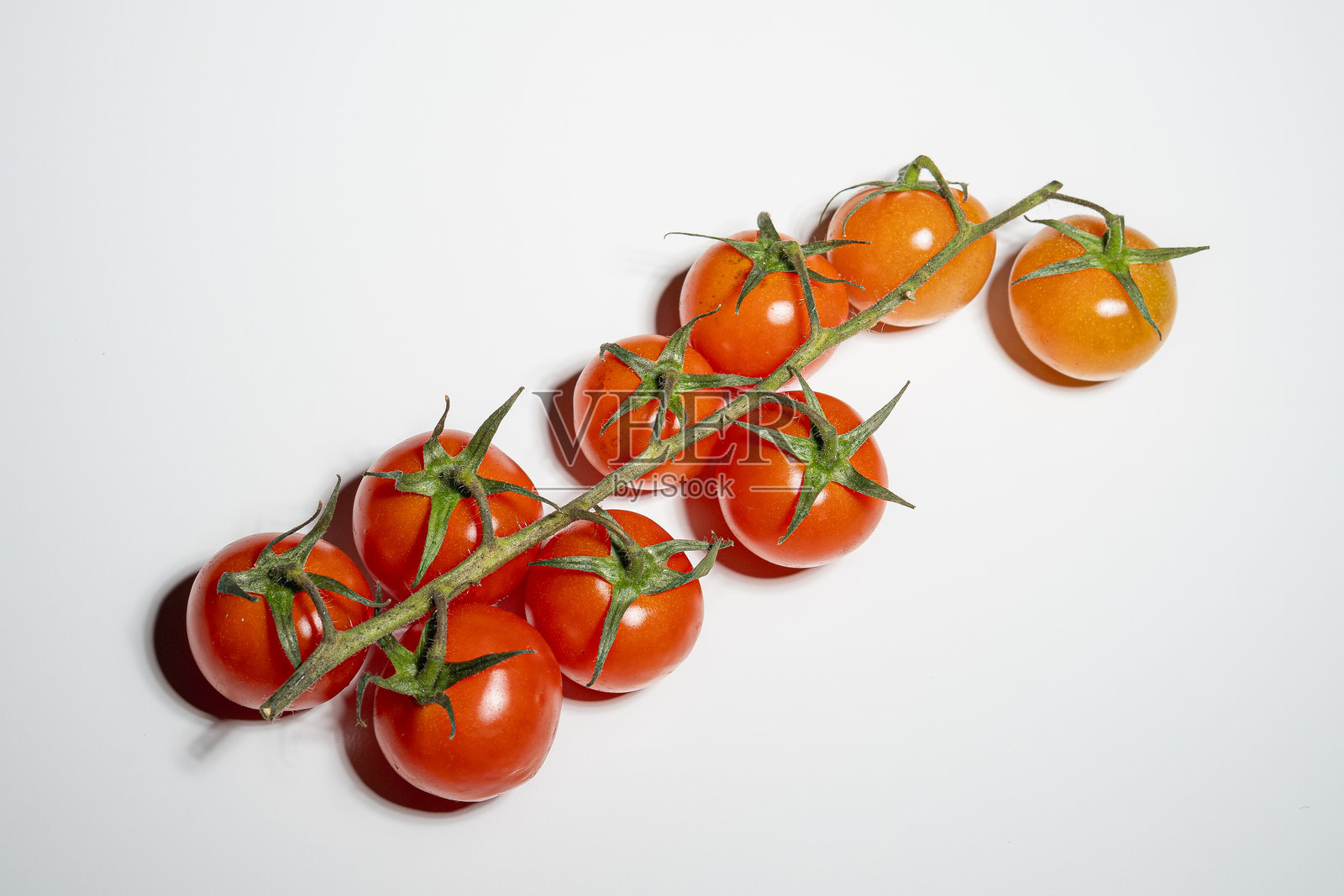 鲜红的樱桃番茄挂在藤上,背景为白色照片摄影图片