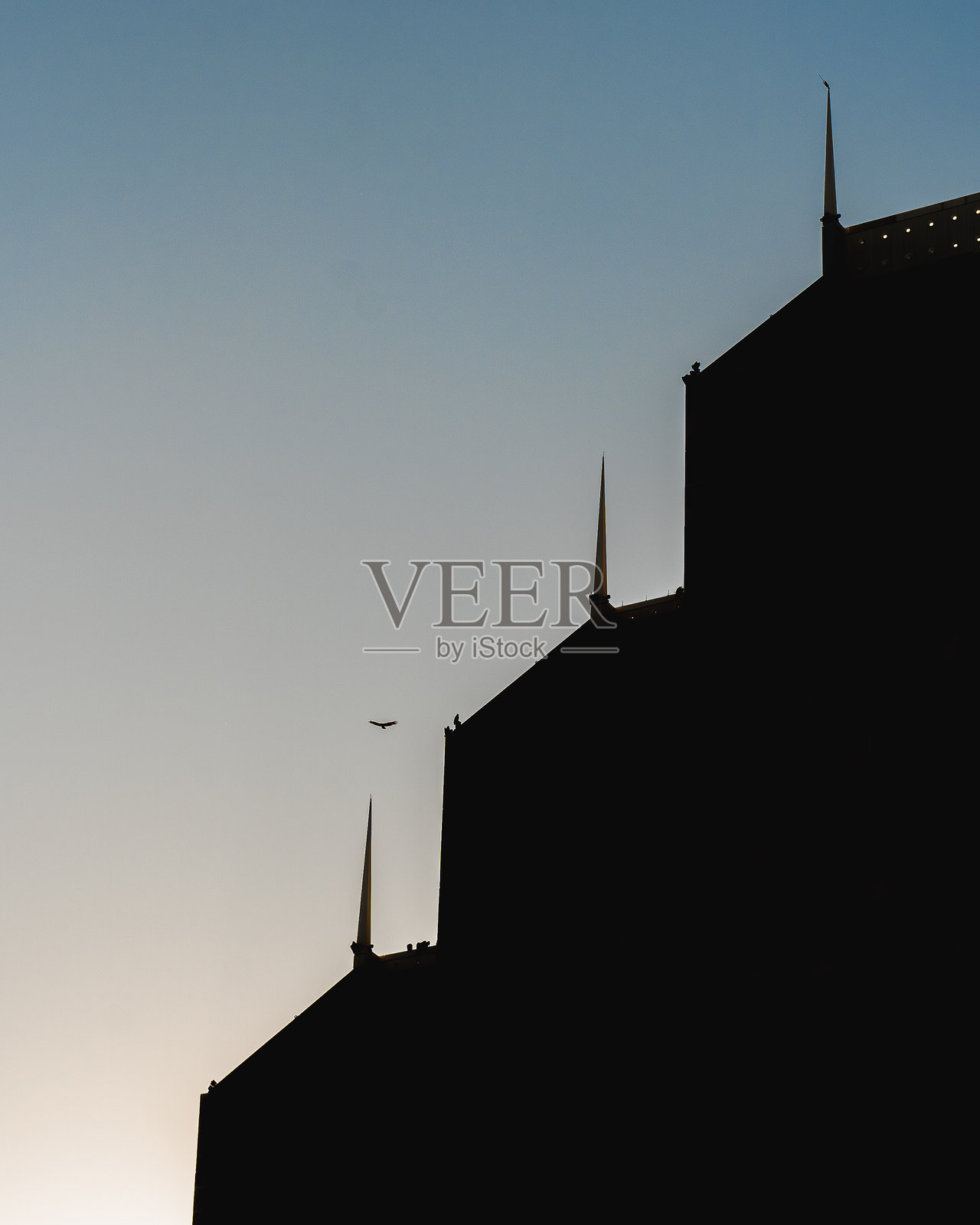 尖顶建筑和一只鸟的剪影照片摄影图片