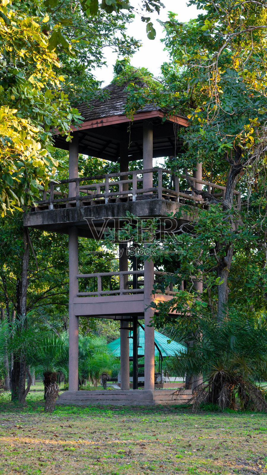 泰国国家公园中郁郁葱葱的绿树环绕下的观景塔。照片摄影图片