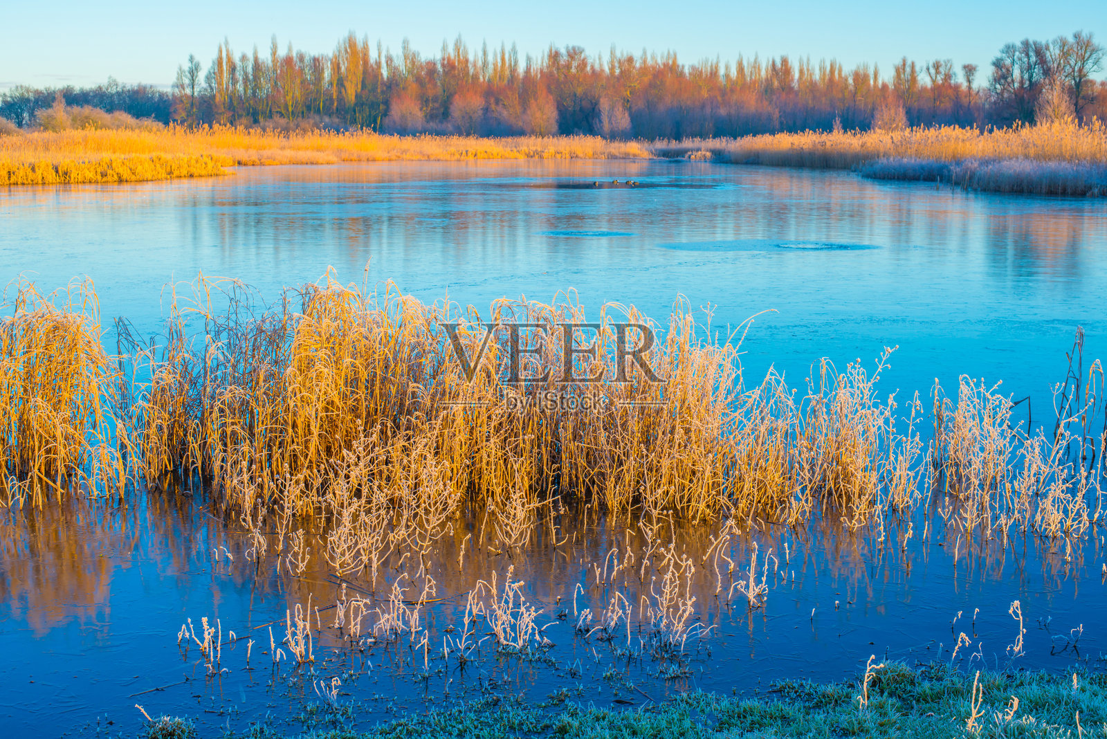 冬季日出时分,冰冻湖泊的边缘照片摄影图片
