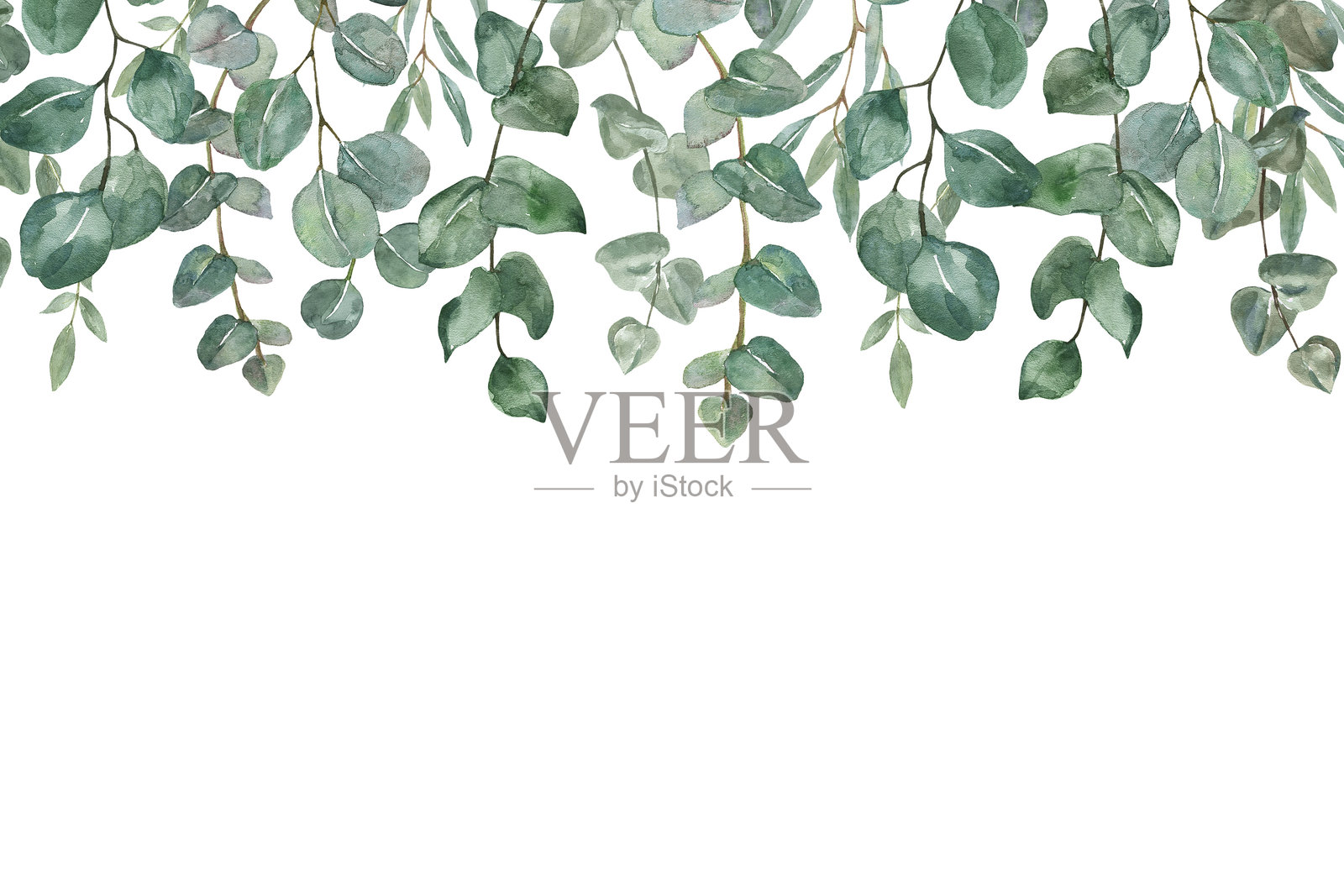 水彩画的桉树花环。绿色叶子框架插图。插画图片素材