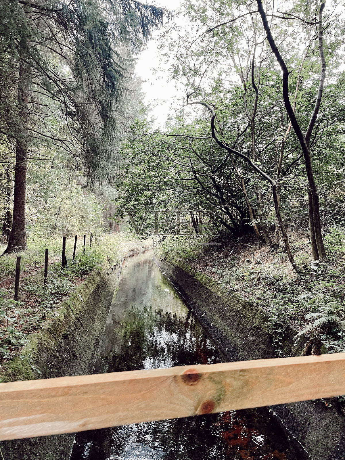 湖区的森林溪流与木桥照片摄影图片