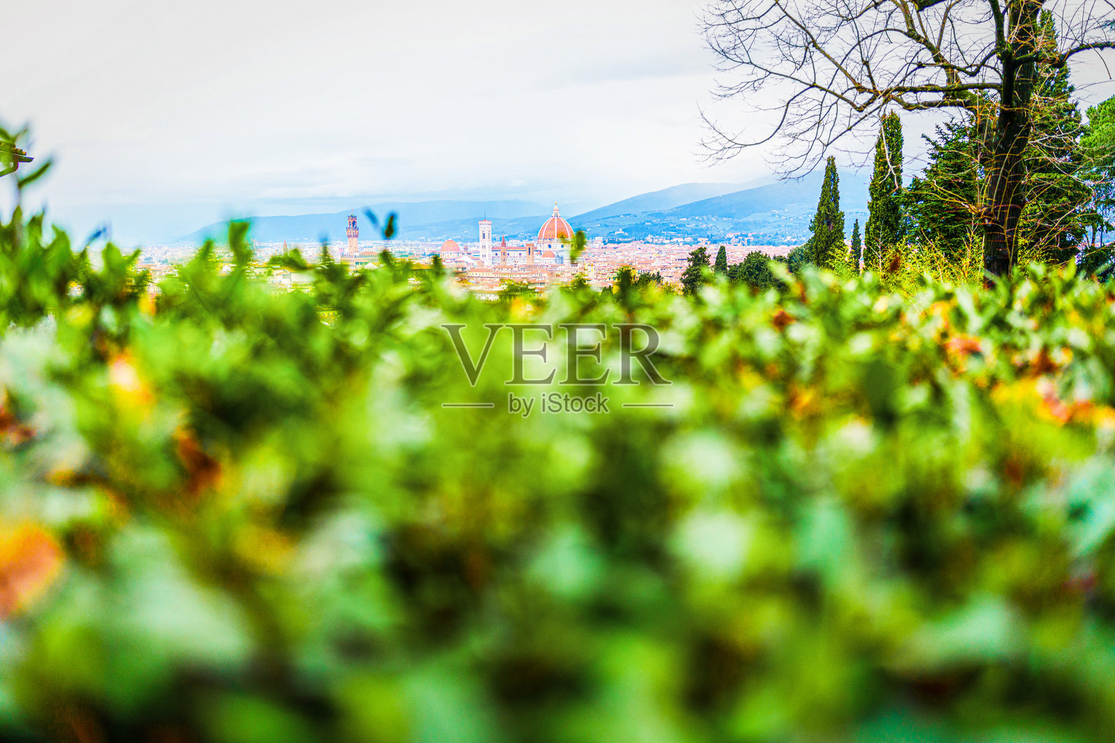 从花园俯瞰佛罗伦萨的全景照片摄影图片