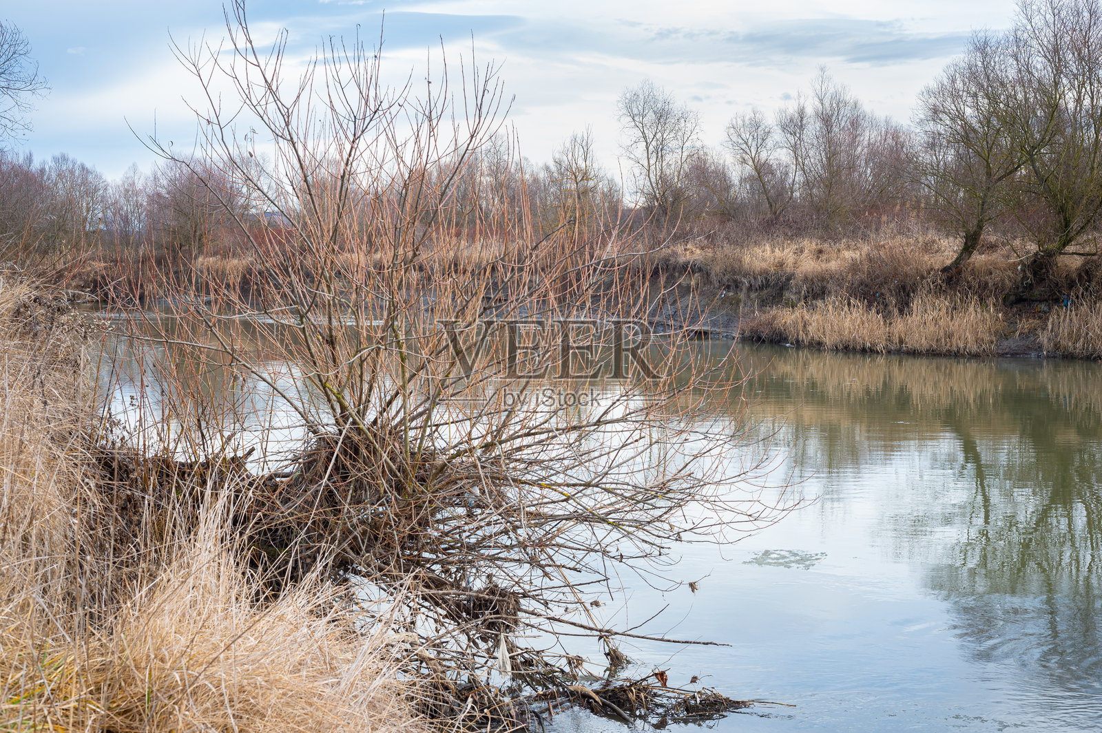 罗马尼亚特兰西瓦尼亚的穆雷什河河岸照片摄影图片