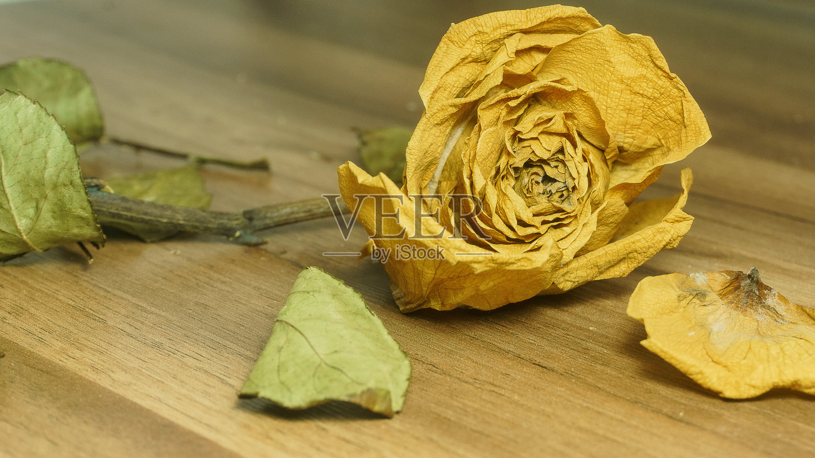 木桌上放着一朵黄色干玫瑰,周围散落着干枯的叶子和花瓣。照片摄影图片