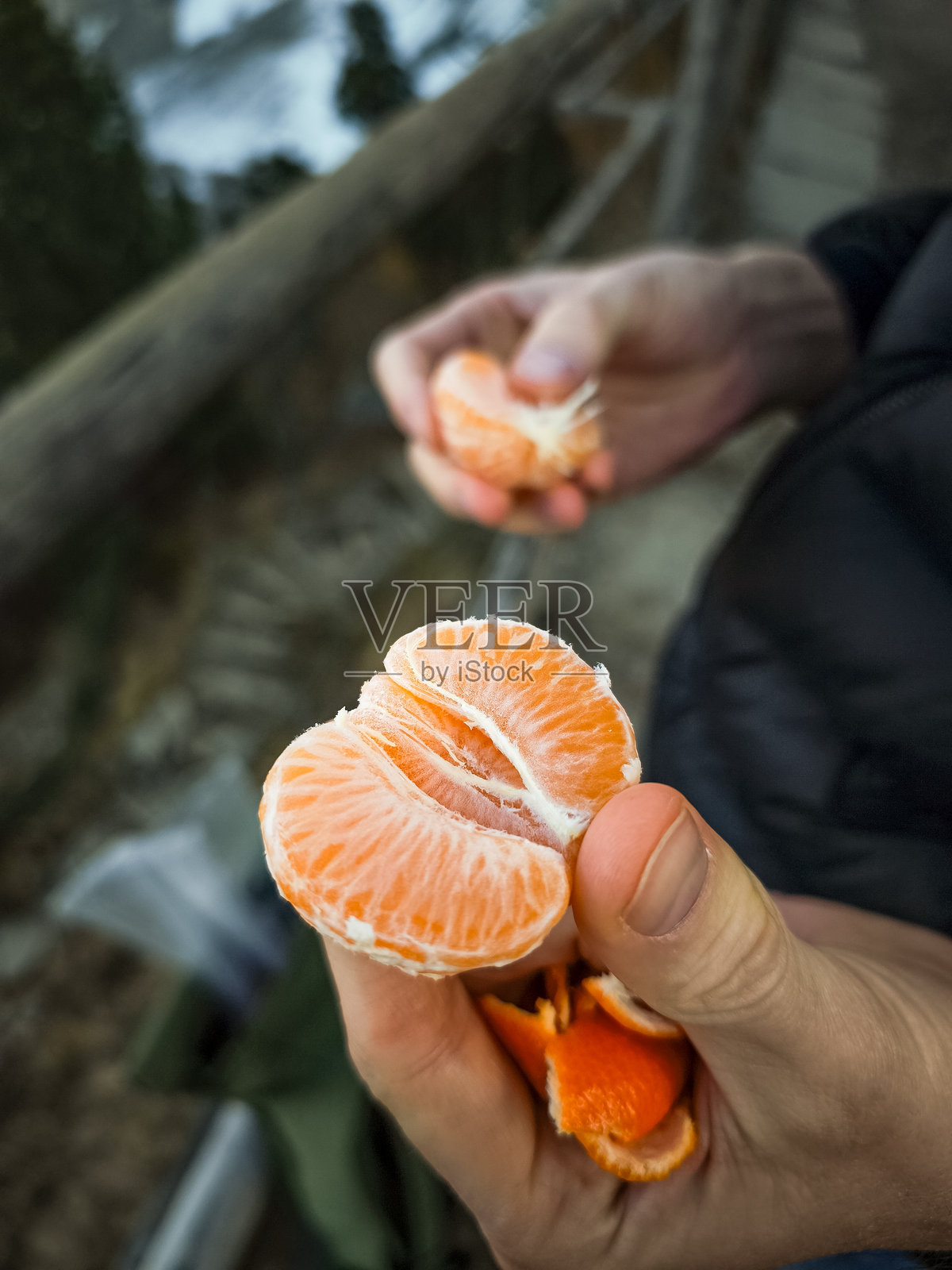 秋季徒步旅行中,游客在法国夏蒙尼剥橘子照片摄影图片