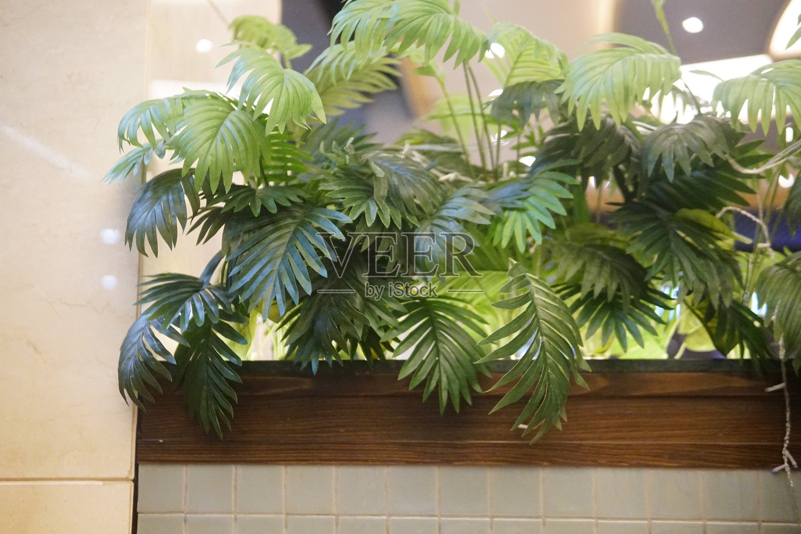 一盆绿色植物放在窗台上,映照在附近的镜子中,营造出宁静的室内氛围。照片摄影图片